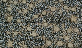 Batik Tulis Lasem 3W-013