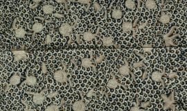 Batik Tulis Lasem 3W-014