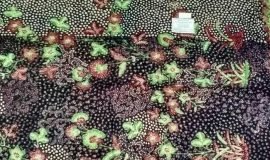 Batik Tulis Lasem 3W-030