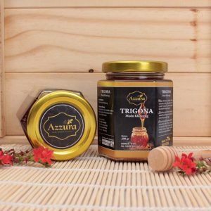 Azzura Madu Klanceng Trigona 200gr